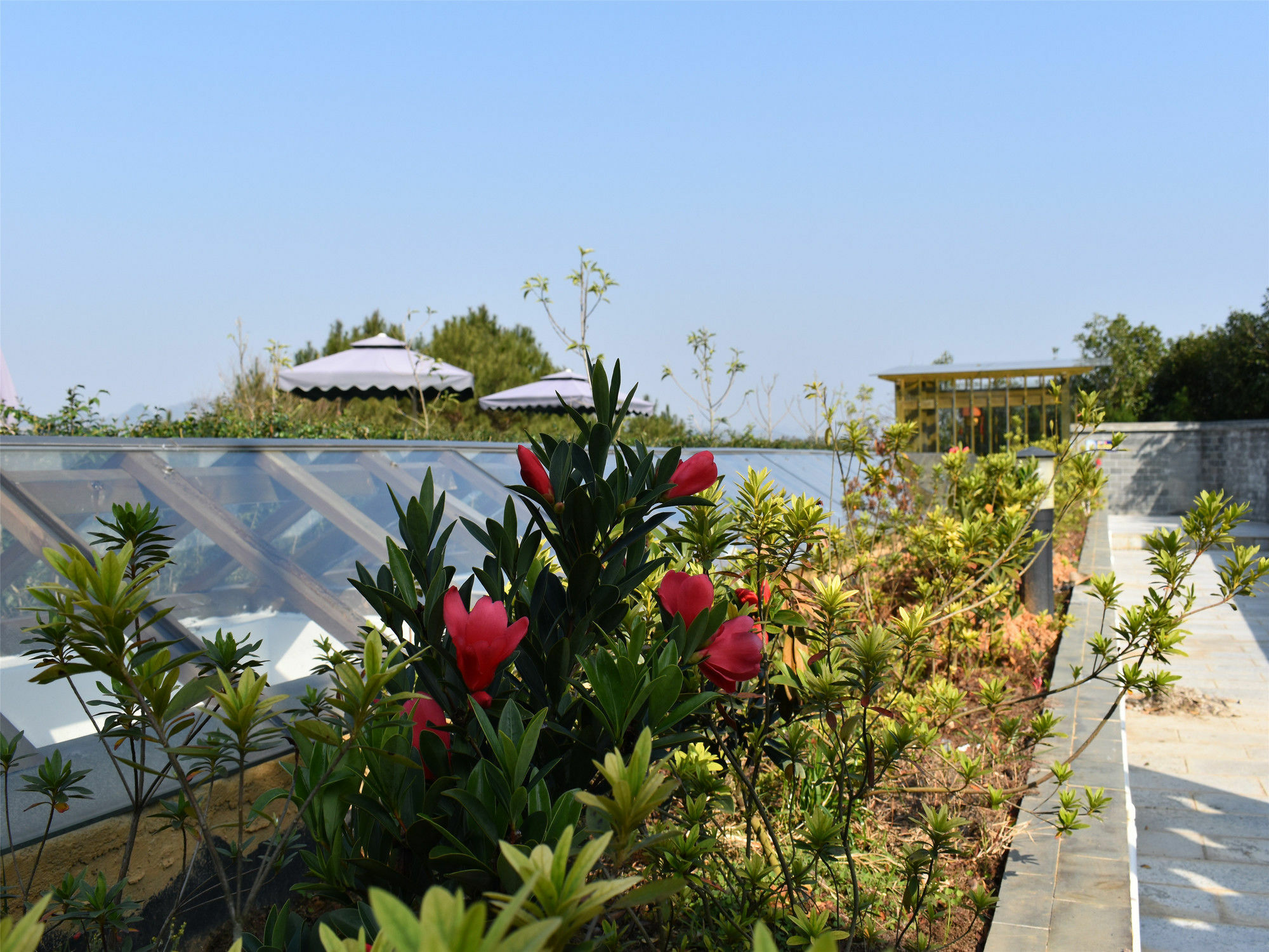 Yangshuo Mountain Top Retreat Exterior photo